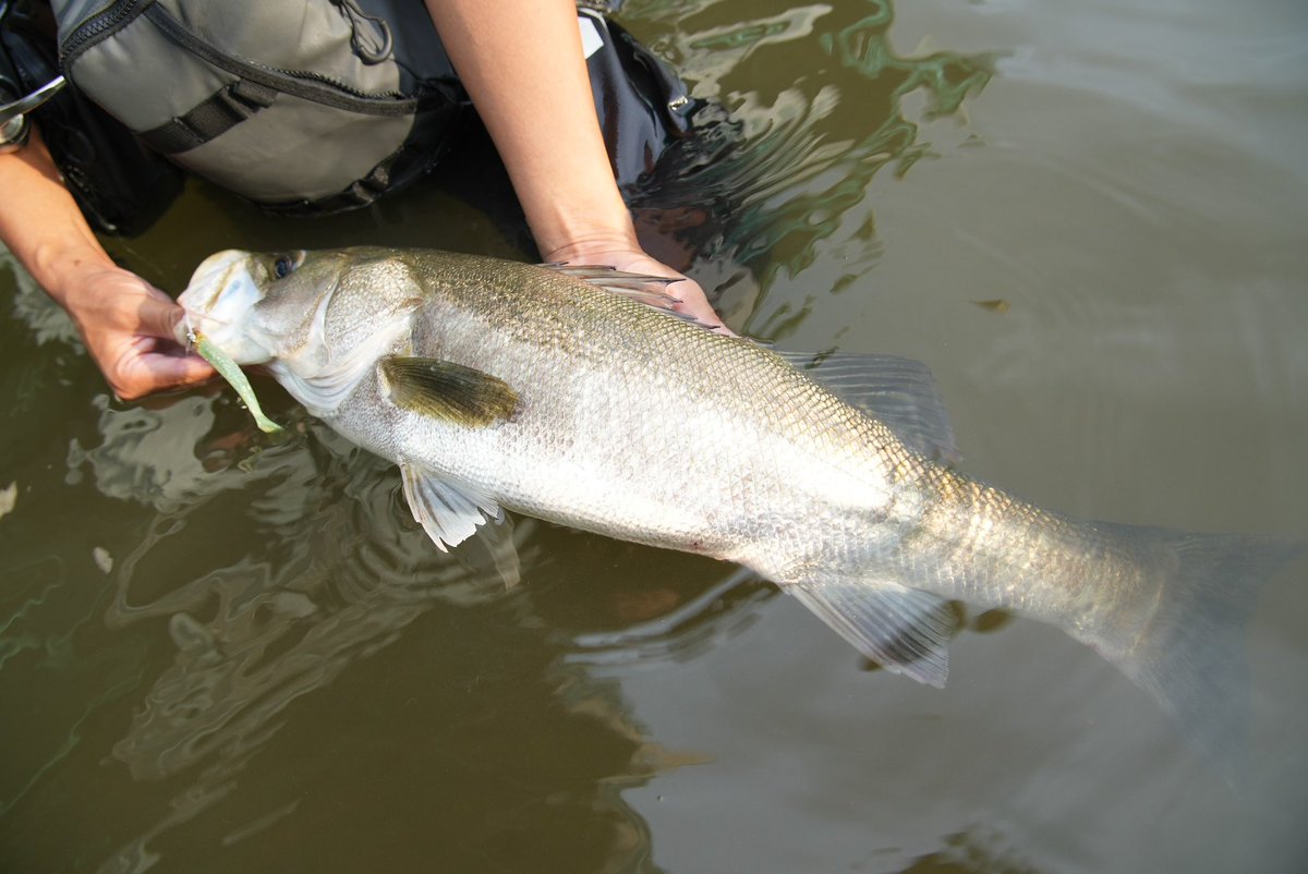 株)コアマン 広報部 (@COREMAN_PR) / Posts / X