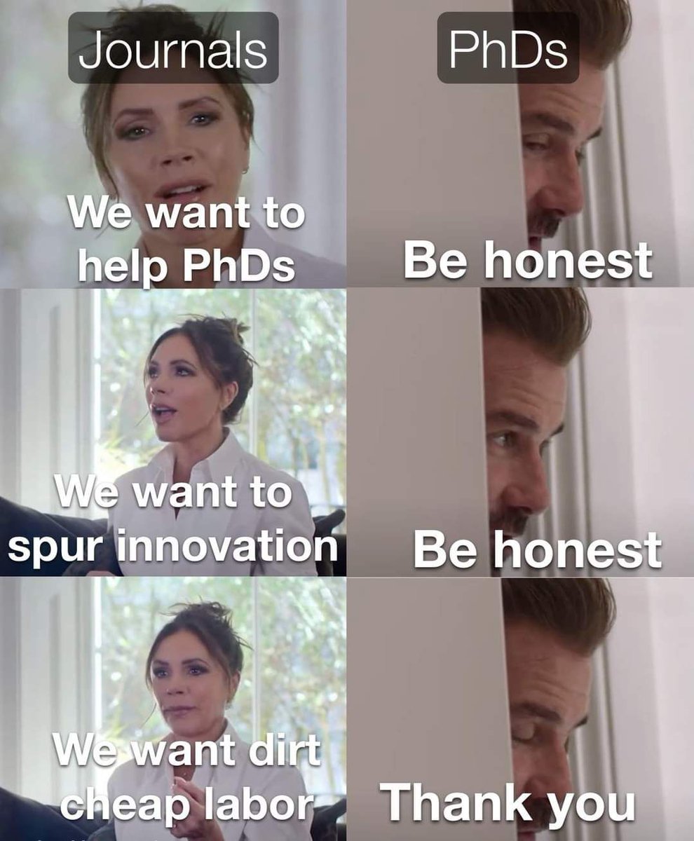 ScholarshipfPhd's tweet image. 