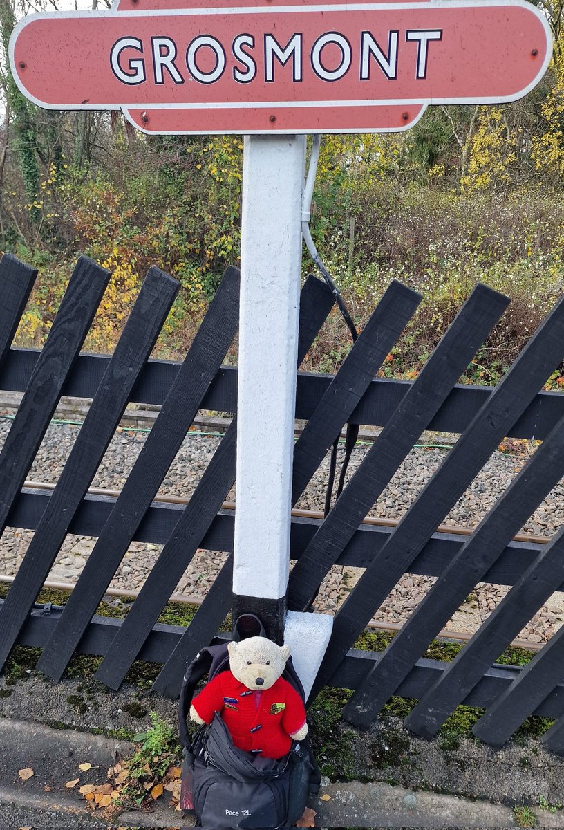 Bear 🚂🐻 tweet media