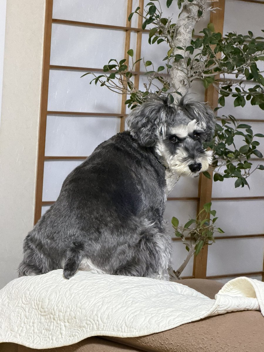 ご飯まだですか？