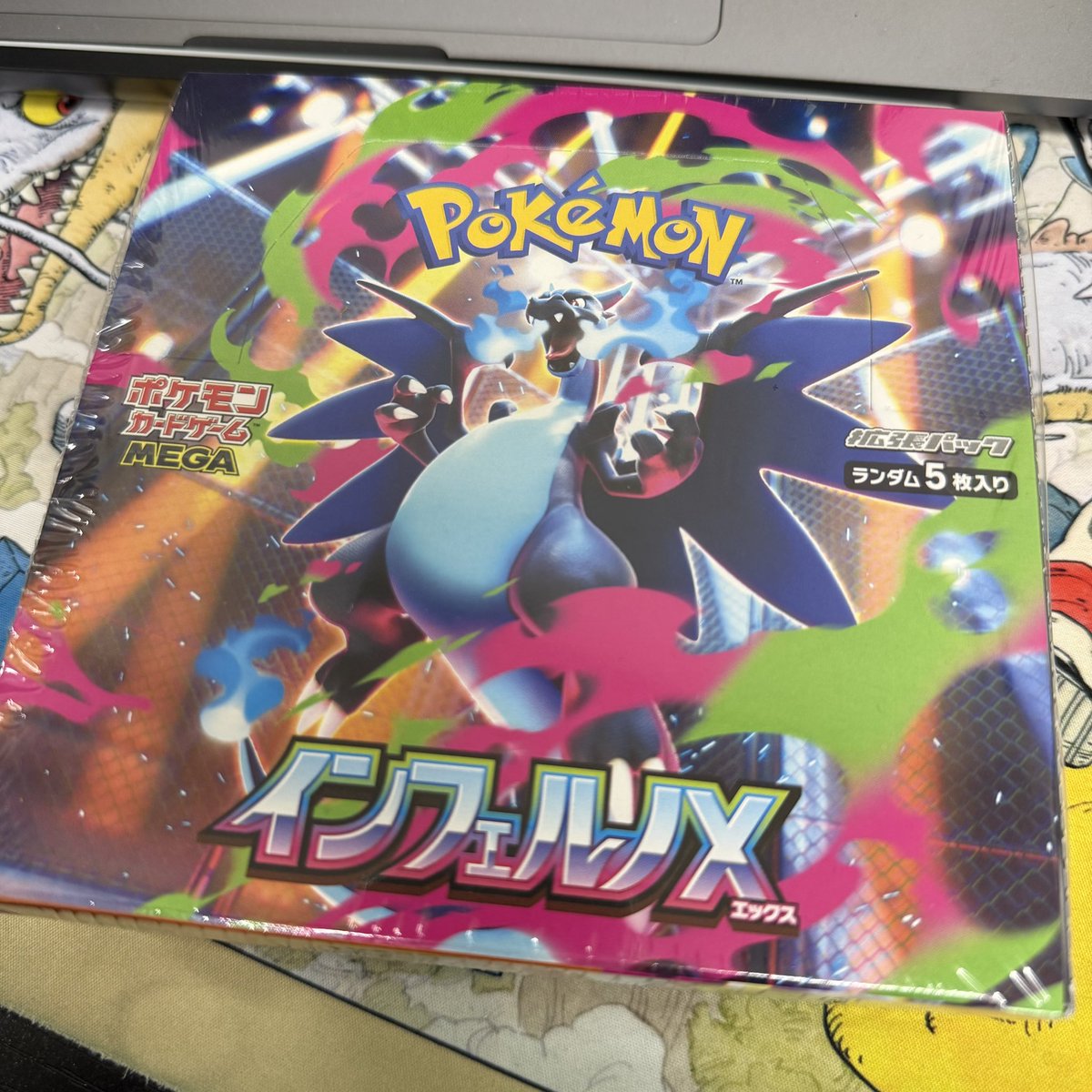 千葉犬】インフェルノX 5BOX せど子ちゃん on X