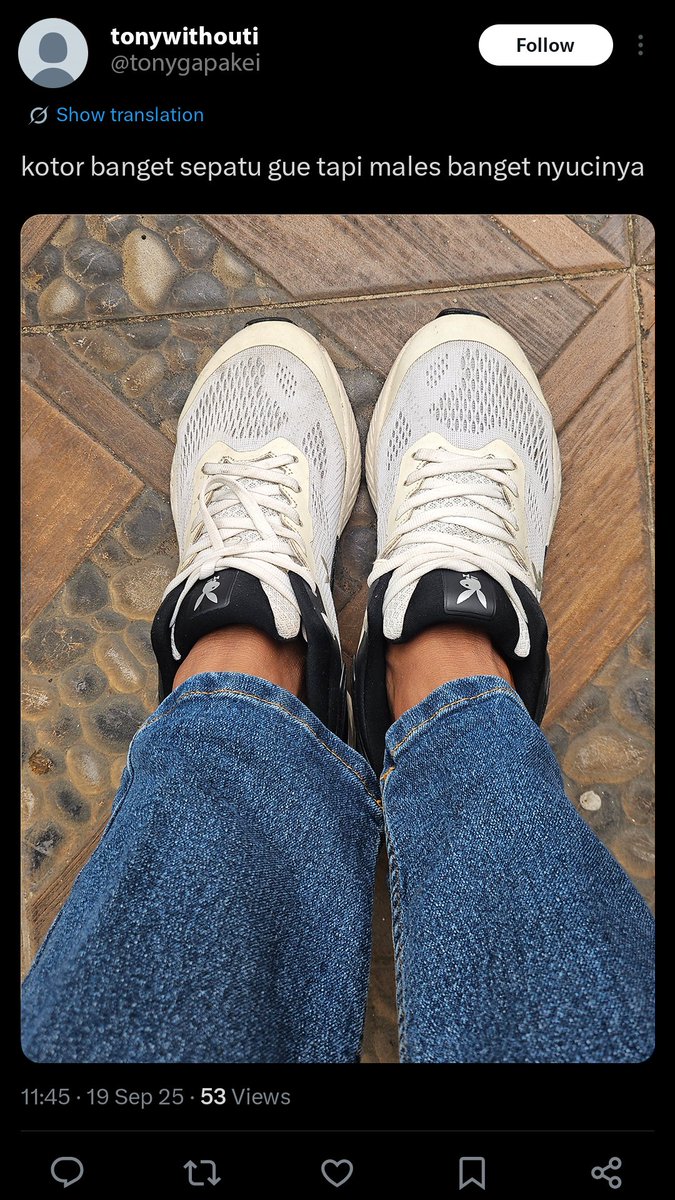 Loxus Cleaner tweet media