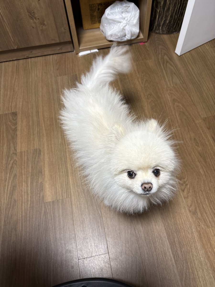 Annes_B2's tweet photo. 가나가나띠인 가나가나띠 https://t.co/vHPucqeRth