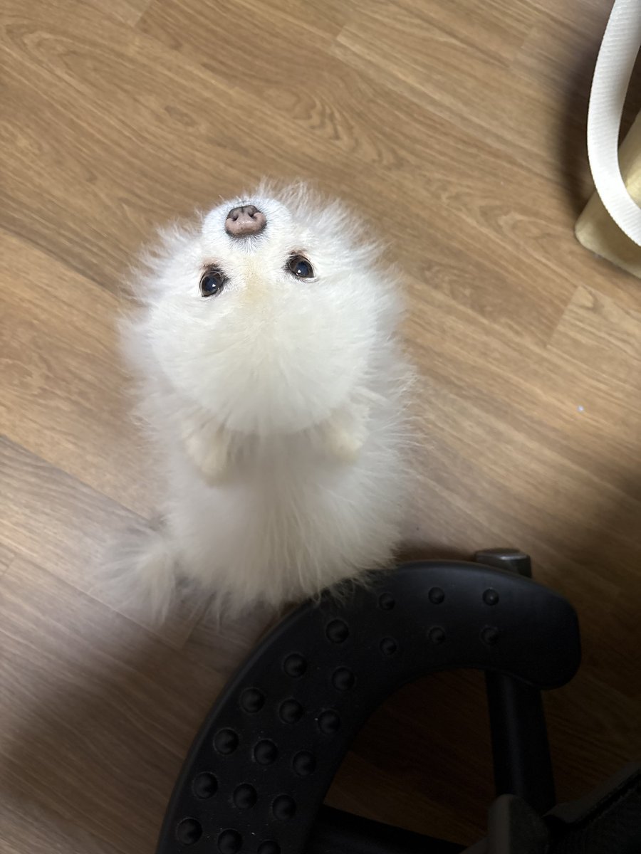 가나가나띠인 가나가나띠