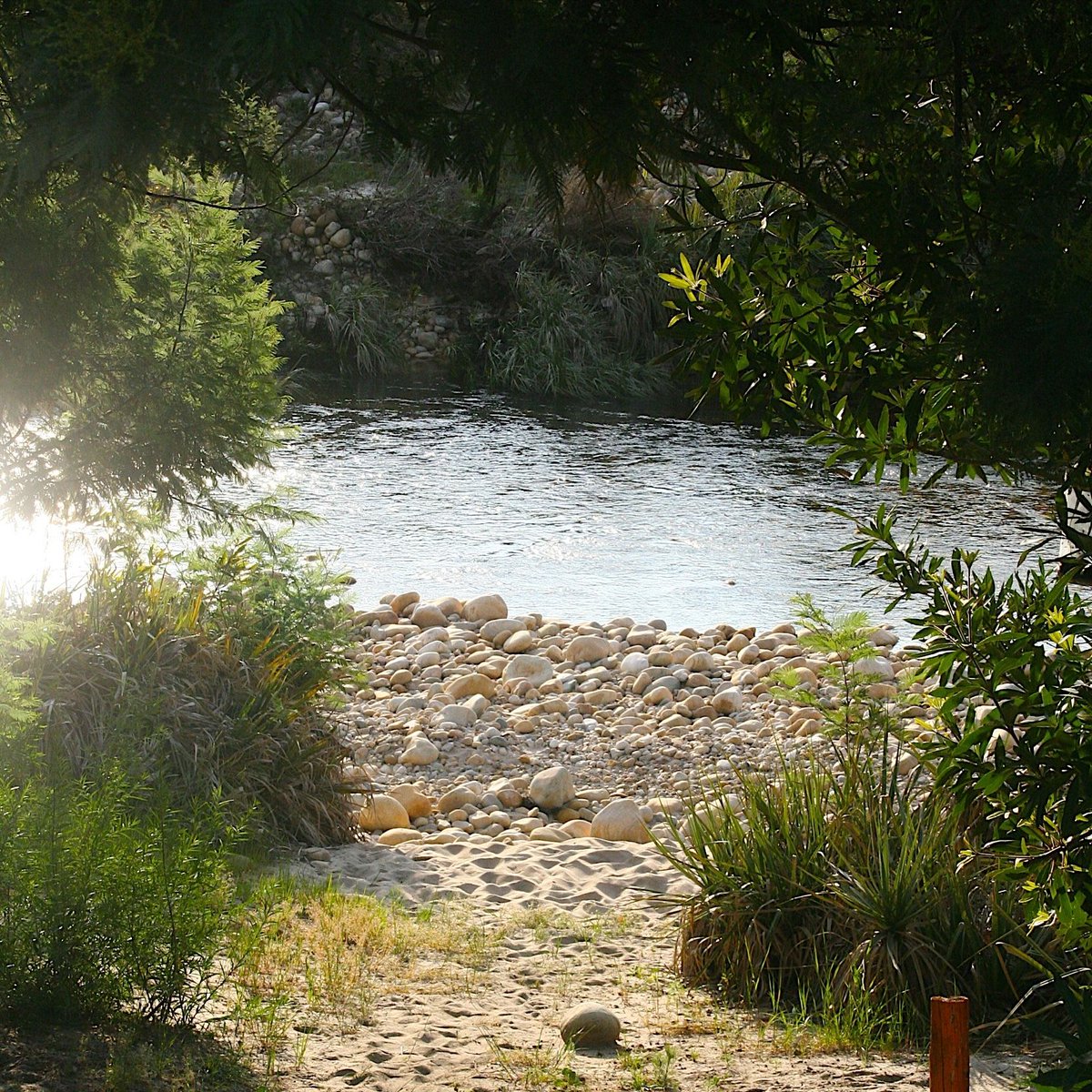 November Newsletter | Sunshine, Road Trips &amp; A Little Radio Fame 📻 - mailchi.mp/87ed2516f832/s…