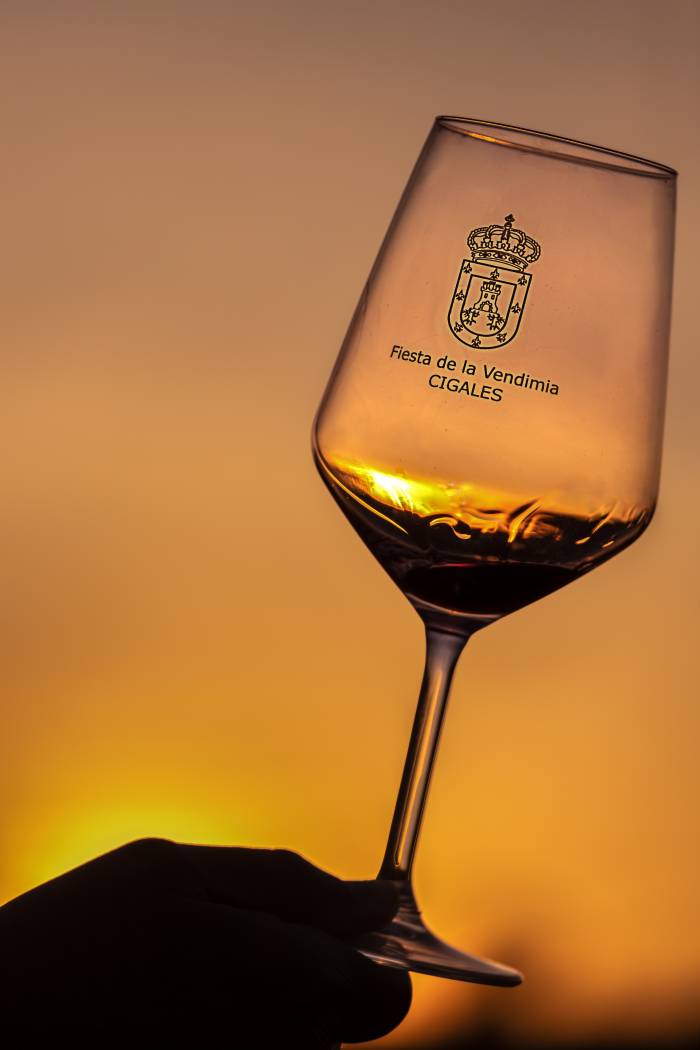 “El Arte de la Cata” gana el XIV Concurso de fotografía digital de la Fiesta de la Vendimia de Cigales

La imagen será el cartel oficial del evento en 2026 y rinde homenaje a la tradición vitivinícola local
vinetur.com/2025111193166/…