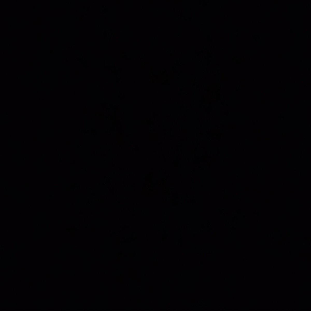 herebumvitae's tweet image. ⠀⠀⠀   " ... quelle conne. "