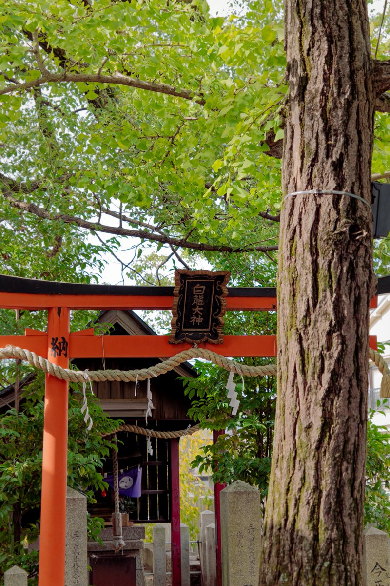 ❁*.⋆̩M.net☺︎⋆̩*❁*.゜様の専用ページ Pinterest | ポスター