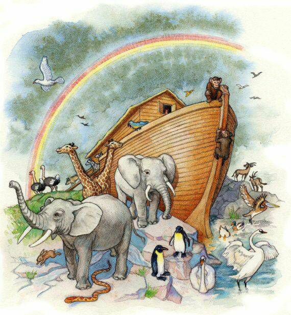 noahs_arkk15's tweet photo. just made a covenant with God &amp; he made this new rainbow thing to prove it (he promises to not enact total destruction upon us again yay) #covenant #rainbow #aftertheflood #peaceagain #yay #jhp9 https://t.co/nYc1dzUyoQ