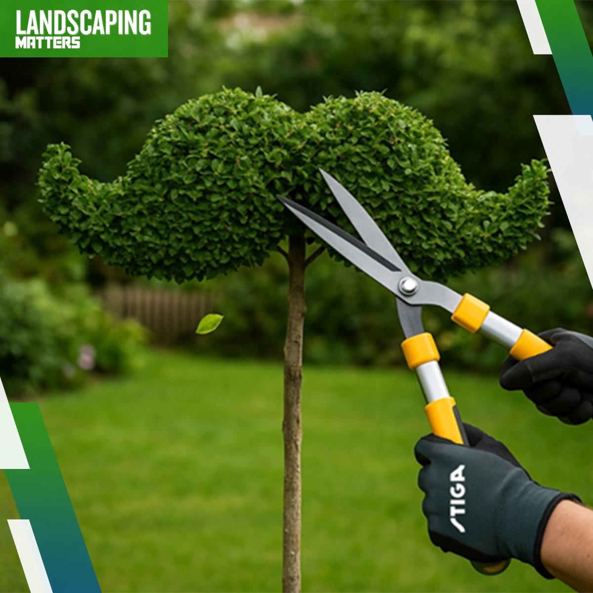 LandscapingMag's tweet image. STIGA isn’t just growing moustaches, but growing awareness. As proud supporters of the Movember movement, STIGA is putting a spotlight on one powerful, accessible tool for boosting men’s mental and physical wellbeing: gardening.

Read more 👉 landscapingmatters.co.uk/stiga-digs-int…