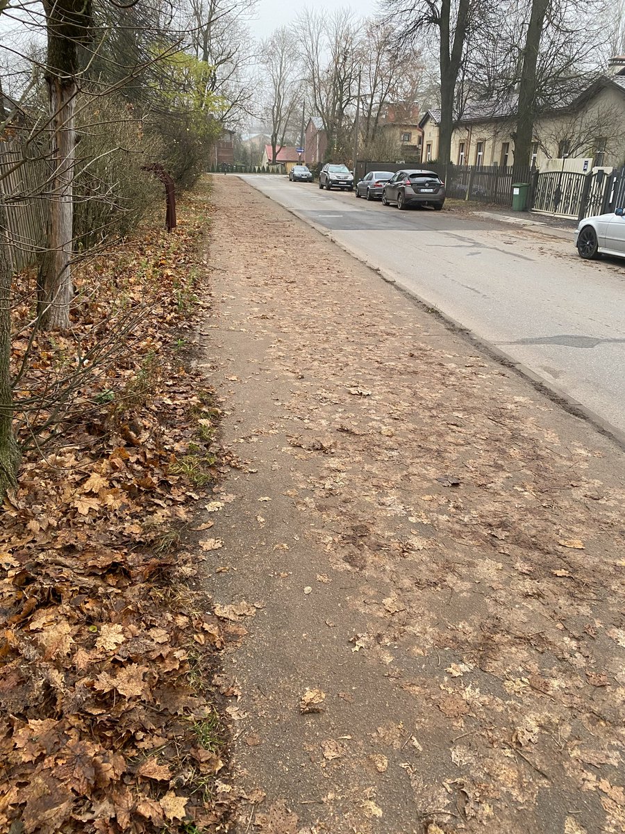 Sveiki <a href="/RigasDome/">Rīga</a> Vai visas gājēju ietves tagad uzkopj pašvaldība? Lapas jau visas nokritušas, varētu sākt sakopt.