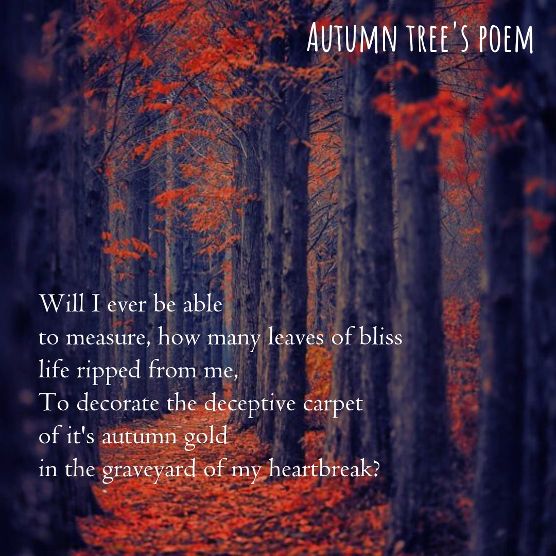 Nehasnotebook's tweet image. Autumn tree&apos;s poem

#vss365 #vsscolors #poetry