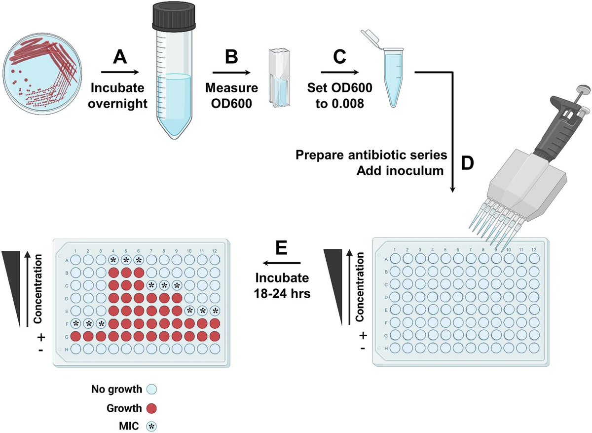 Antibiotic susceptibility testing using minimum inhibitory concentration (MIC) assays | npj Antimicrobials and Resistance

(nature.com/articles/s4425…)