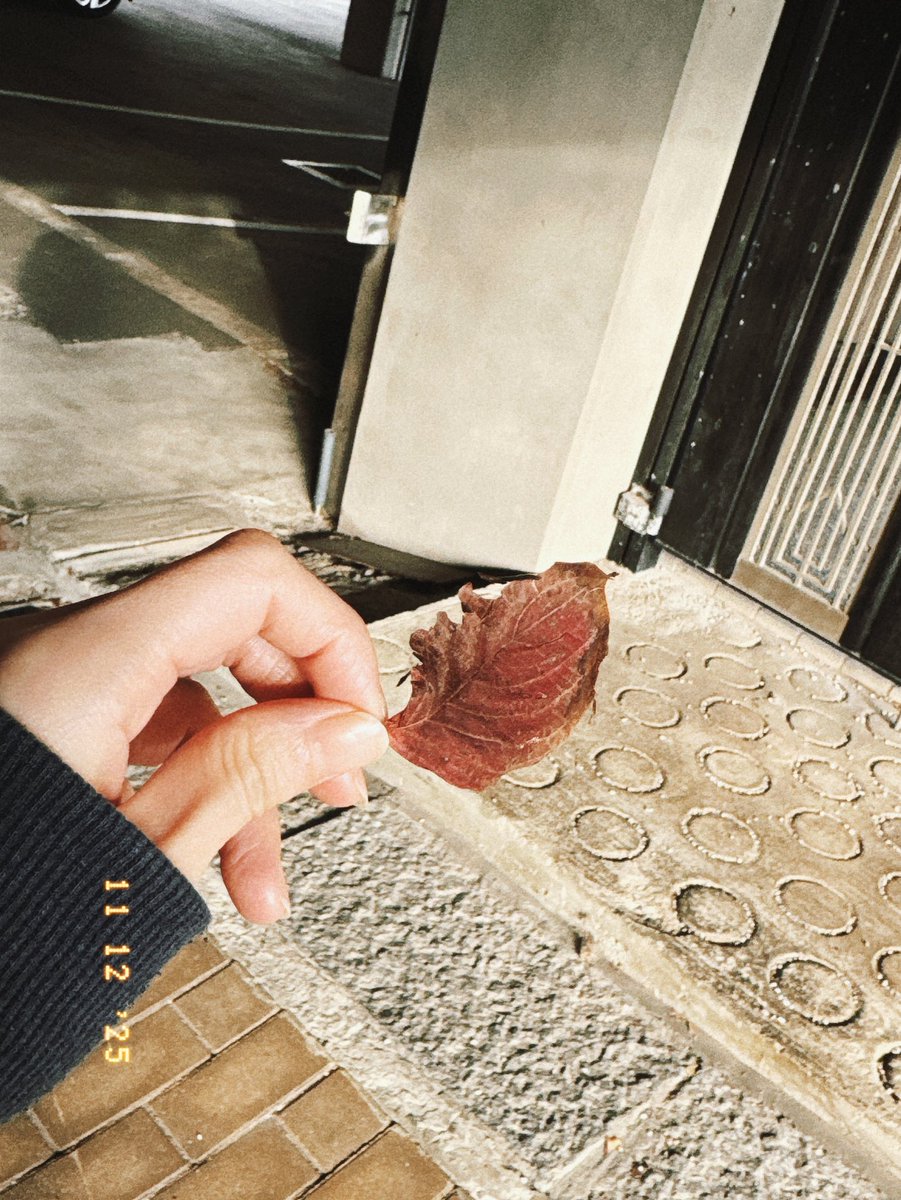 tomo (@tomo159512) on Twitter photo 