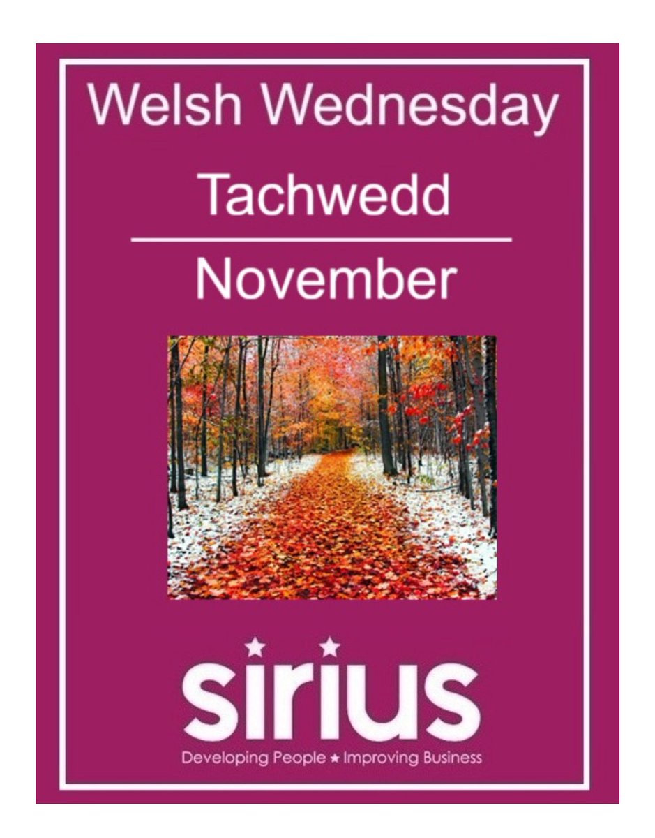 This week’s Welsh Wednesday is “Tachwedd” meaning “November”
 
#welshwednesday #siriusskills #Tachwedd #NTFW