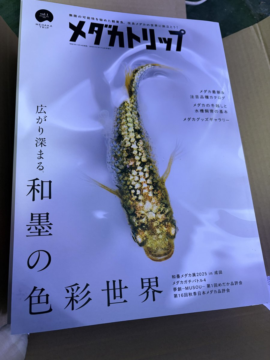 MPJ 販売促進部 (@mpj_hansoku) / Posts / X