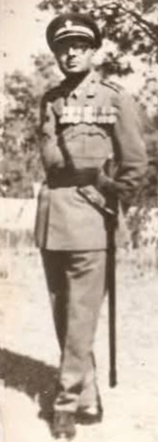 Primrose🇮🇳 tweet media