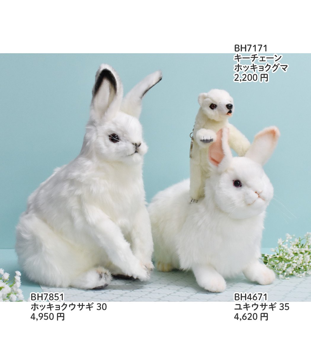 ホッキョクウサギとユキウサギ❄️ 寒い地域に生息するノウサギらしいフォルムが魅力的な、\, image size:1050x1200