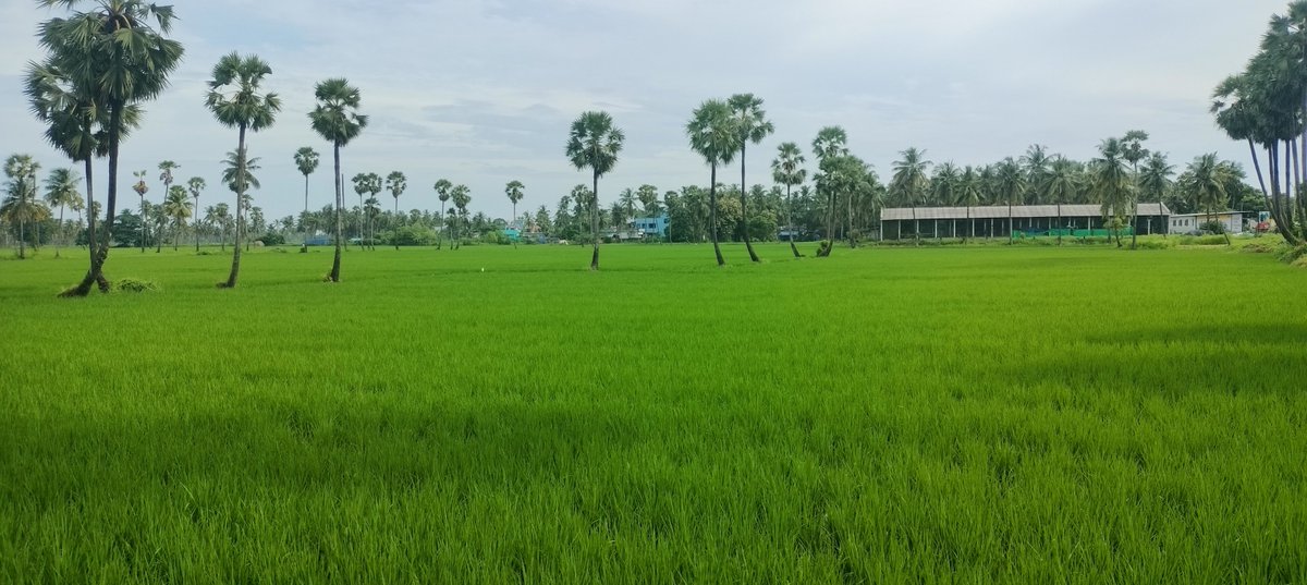 #GreenTwitter
Quite something green from your photo gallery!