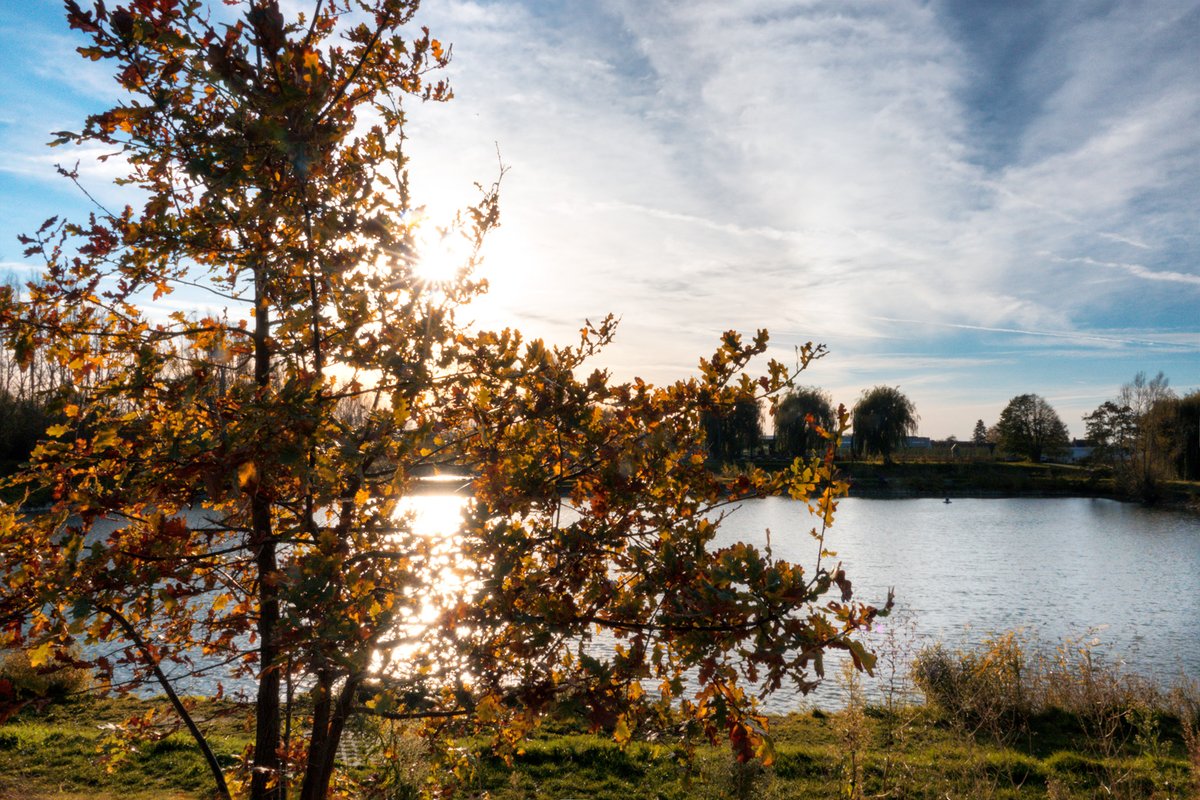 #vrtweer Desselgem, het licht van de zon wordt oogverblindend weerkaatst op deze vijver
@weerbord <a href="/Stad_Waregem/">Stad Waregem</a> 
#weerfoto #meteo #weerfoto #buienradar
<a href="/MeteovistaBe/">meteovista.be</a>
<a href="/BuienradarBE/">BuienradarBE</a>
<a href="/Westtoer/">Westtoer</a>
<a href="/meteobenl/">KMI</a>