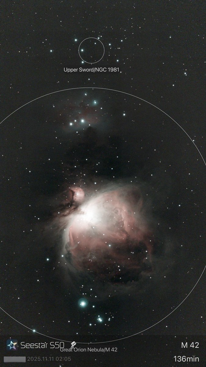 その他 star St. James 50 6L6 Combo - Blackstar