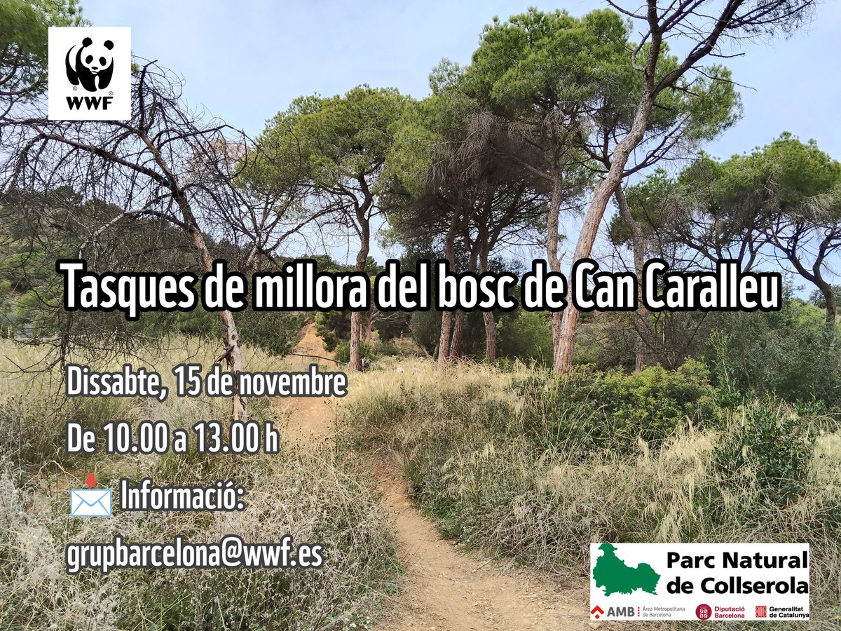 Grup Local WWF Barcelona tweet media