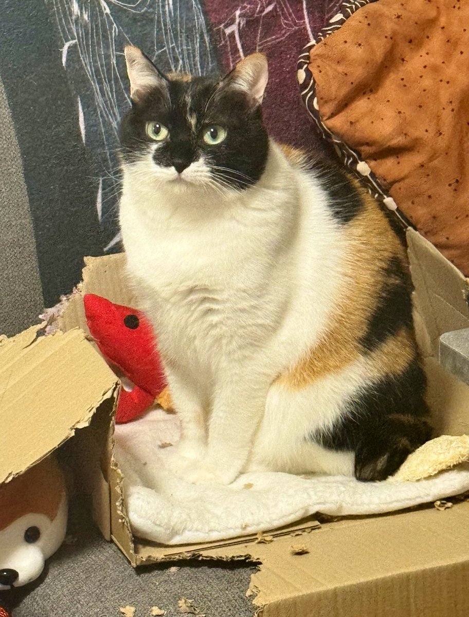 雷十太先生 (@asjSvnCZl18wKXM) / Posts / X