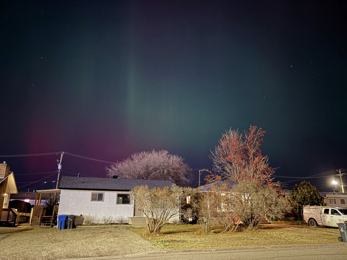 Grant Wall (ウォール・グラント). tweet media