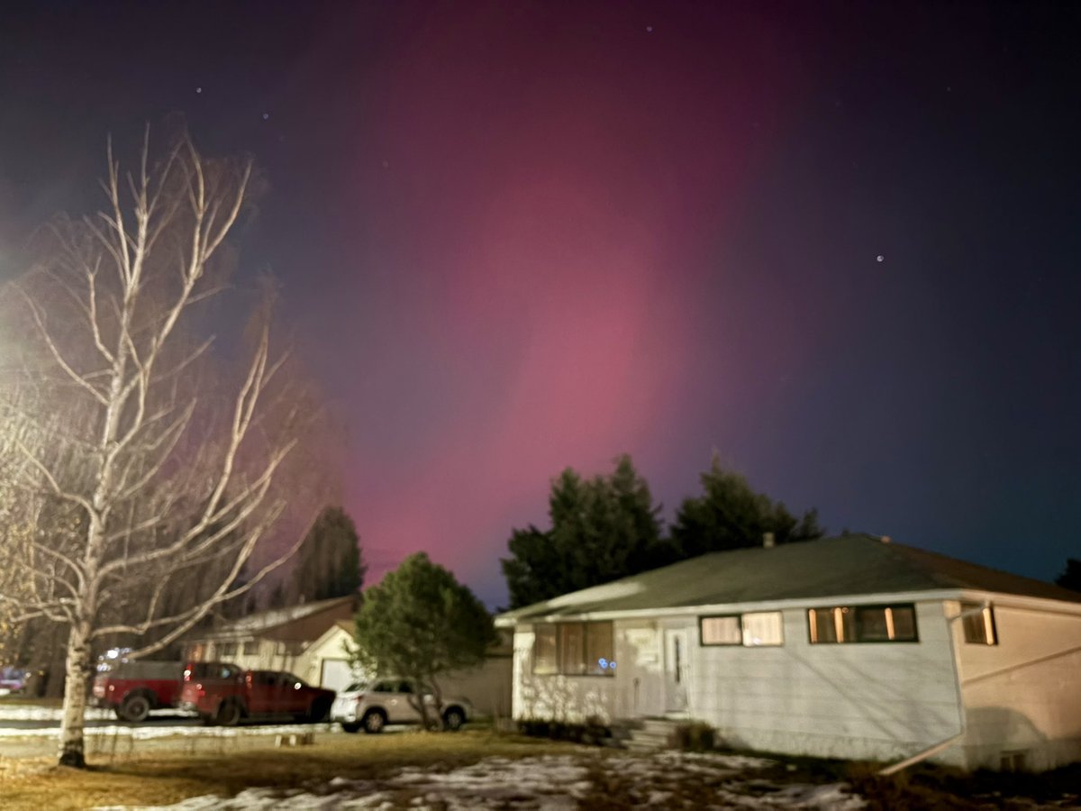 Grant Wall (ウォール・グラント). tweet media