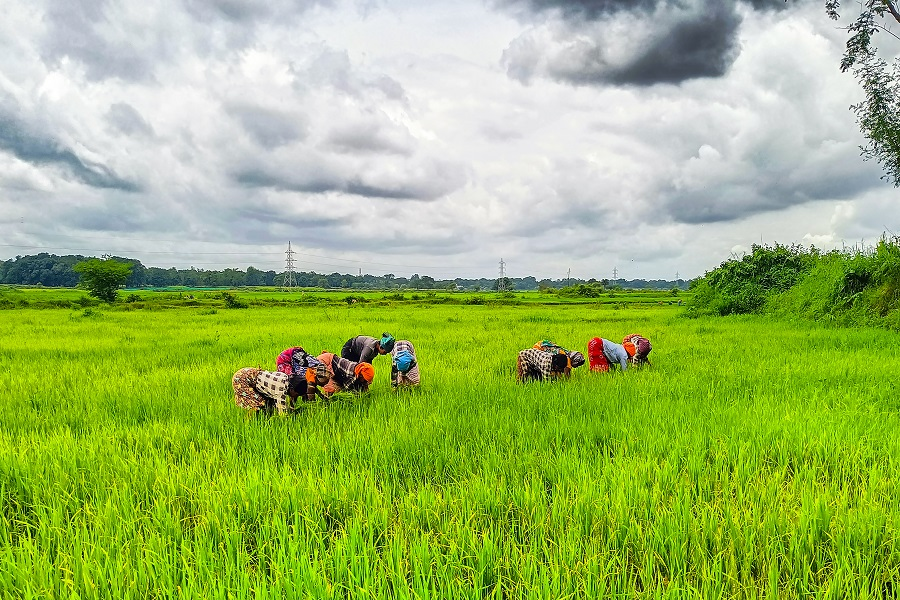 InvGurInd's tweet image. Early Rabi Sowing Gains Boost Acreage Across Key Crops by Amit Gupta, @kediaadvisory 

investmentguruindia.com/newsdetail/ear…

#CommodityTips #ExpertViews @amit_gupta444 #KediaAdvisory #Investmentguruindia