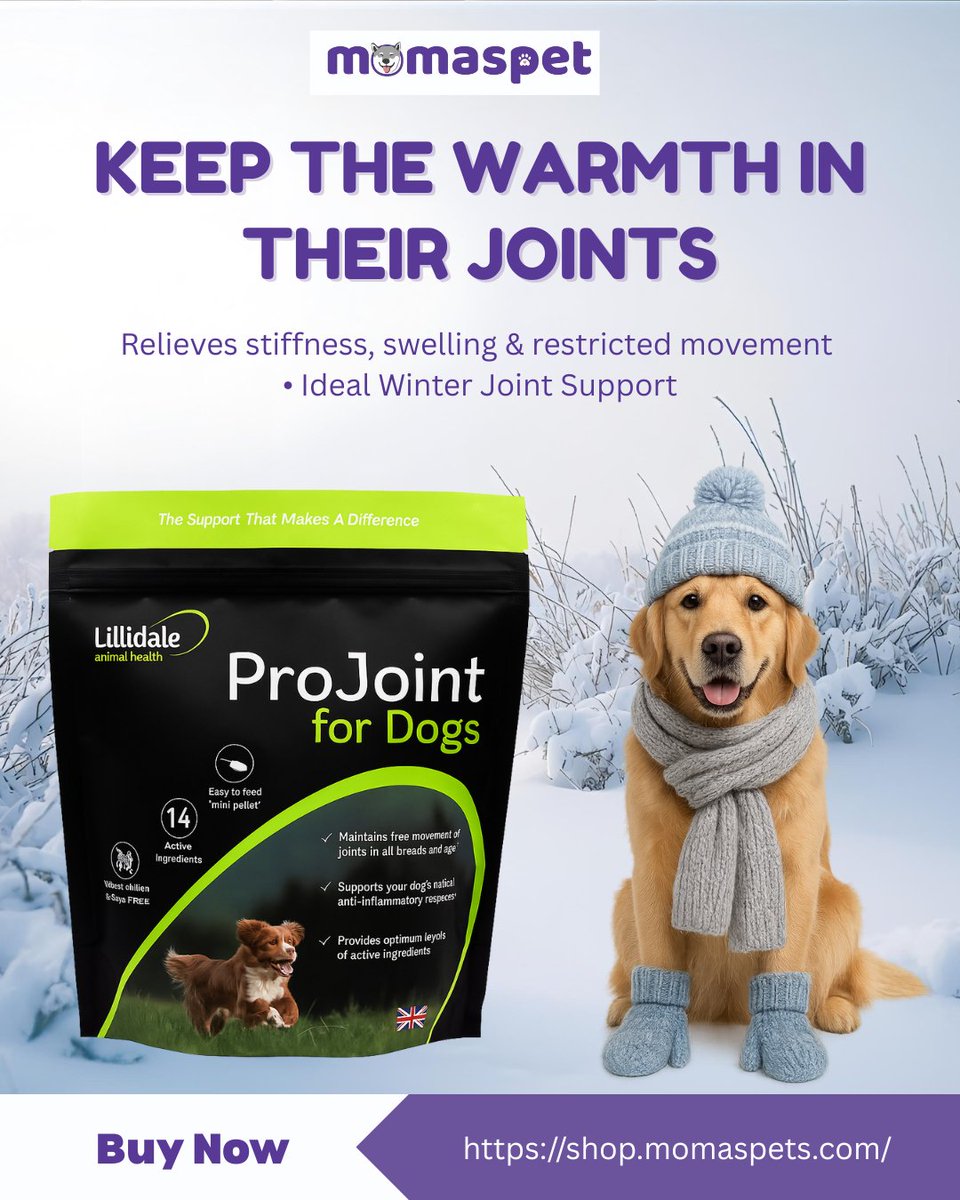 MomasPets51028's tweet image. Cold weather can make joints stiff. ProJoint’s nutrients help maintain flexibility and reduce winter stiffness. Available on MomasPets.com.

#DogJointHealth #WinterCare #MomasPets #PetSupplements