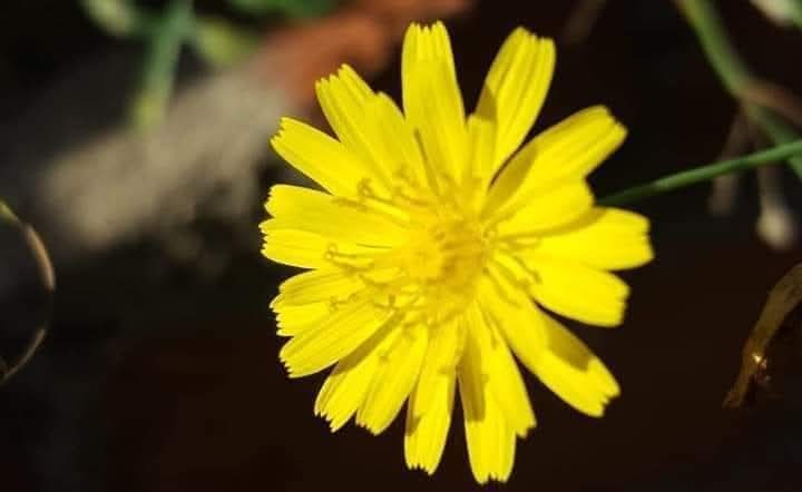 Arnau Cabeza Garrido tweet media