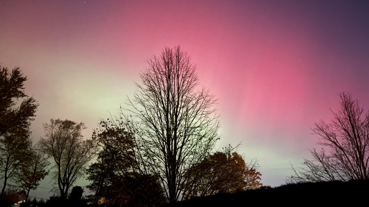 mel saw NOC! tweet media