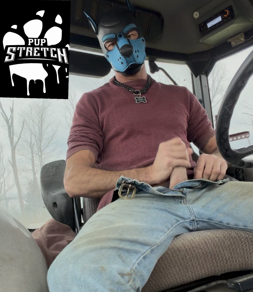 Pup Stretch tweet media