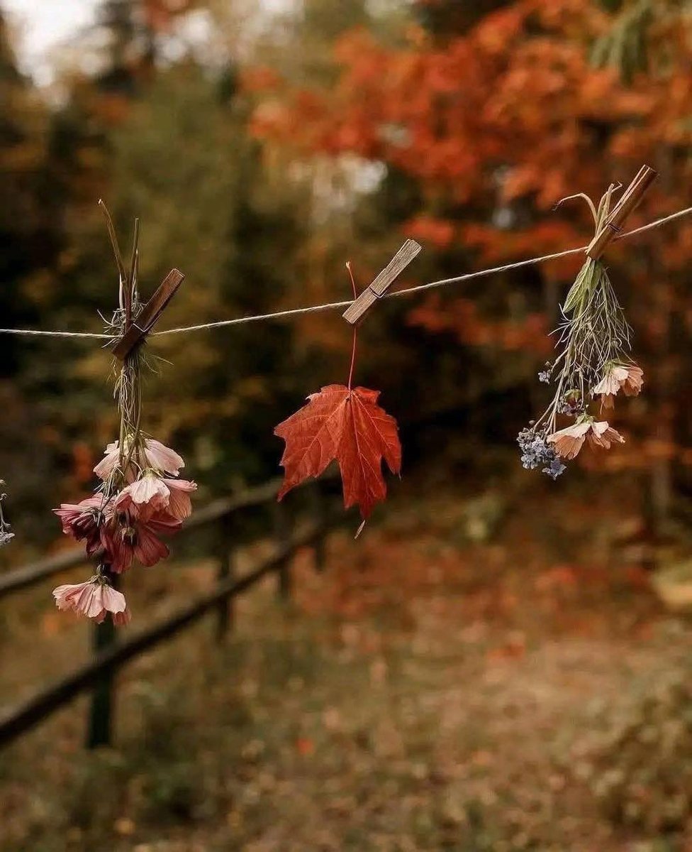 ليس من الضروري أن تمتلك شيئاً ليحسدونك، قد يأتيك الحسد فقط لأنك  تتحمّل أعباء الحياة وتبتسِم
يليـــــــــــــــــــه 
قد يكون الابتسام في وجه التحديات كافياً لإثارة الحسد، فهناك من لا يتحمل رؤية السعادة أو الرضا في عيون الآخرين