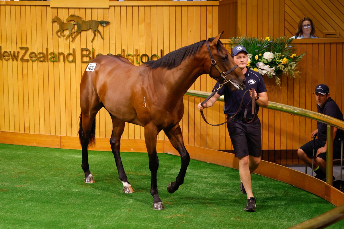 Record Median on Day One of Ready to Run Sale 📈

Day One of NZB’s 2025 Ready to Run Sale delivered strong results across the board with the aggregate reaching $19,232,000 for 119 lots sold, and the median climbing 33% to an impressive $120,000.  💥

The top two lots of the day