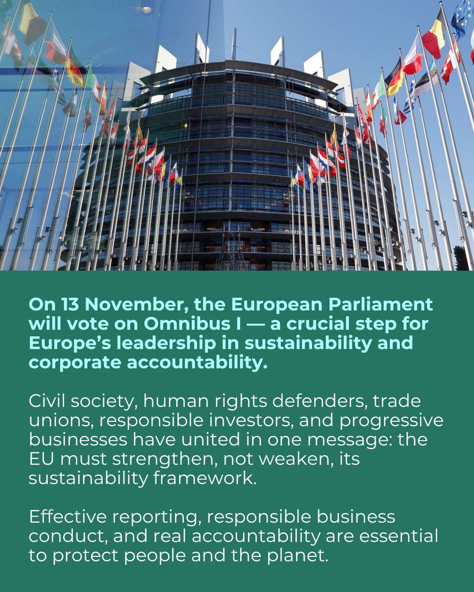 forum_asia's tweet image. FORUM-ASIA joins 140+ EU &amp;amp; non-EU CSOs from 27 countries urging MEPs to adopt a responsible, ambitious &amp;amp; workable agreement on #CSDDD and Omnibus I ahead of the 13 Nov vote. Europe must uphold its leadership on #humanrights, #sustainability &amp;amp; #corporateaccountability. 🌍 

🔗…