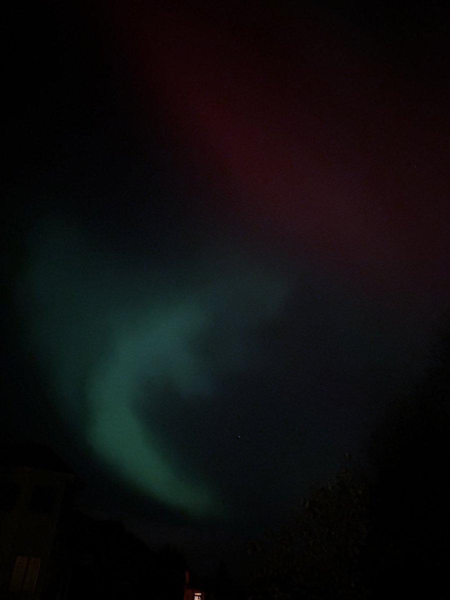 Paula Cody, MD, MPH tweet media