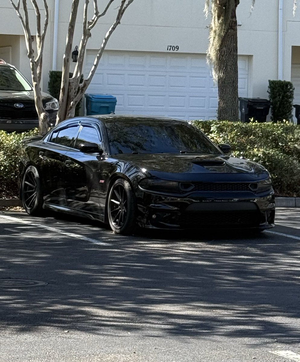 not everyone can be like me <a href="/FallonHenleyWWE/">Fallon Henley</a>