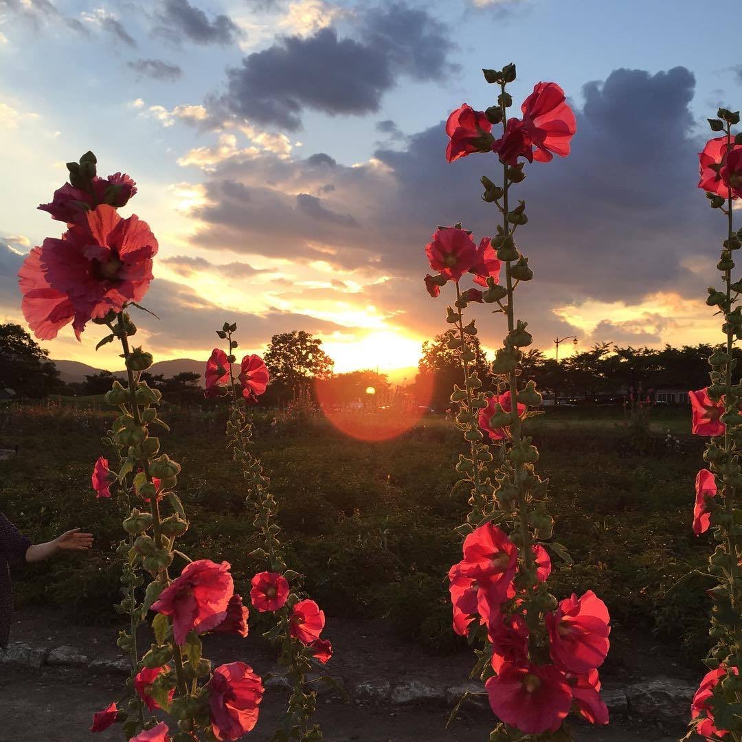 faltariamass's tweet image. Asoma el día con sueño y muchos sueños…
Lo tenemos todo por delante.

Buenos días! ☀️