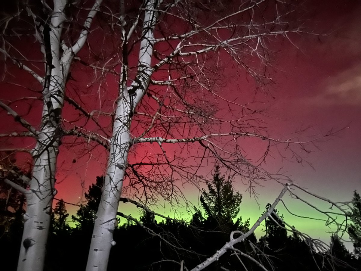 pam_rothman's tweet photo. @JeffcoColorado Conifer checking in, my first time seeing the amazing lights! #Jeffco https://t.co/ghyrtzvQ3B