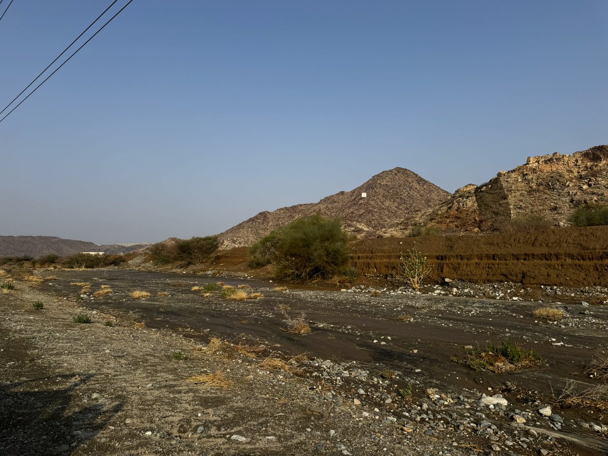 صباح السيل من الديره على أحلى ملوك 💚