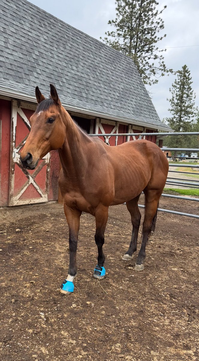 Sara 🌺 tweet media