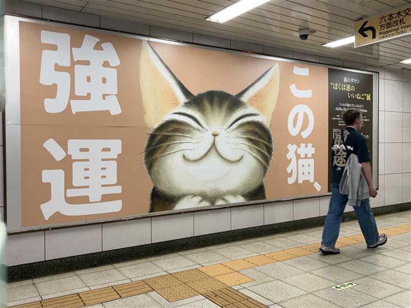 モカ ダヤン様 株式会社わちふぃーるど on X