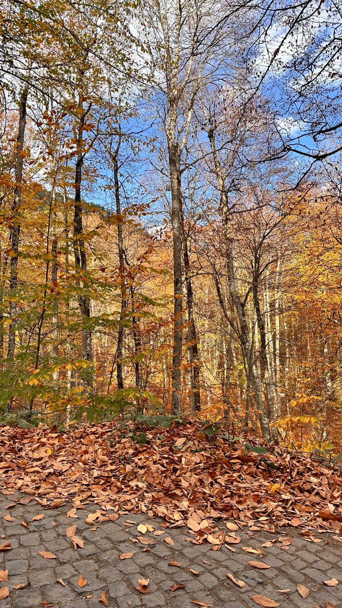 Başkalarının kötülüğünü, kıskançlığını ya da karanlık niyetlerini değiştiremezsin. Onları engellemek senin elinde değildir. Ancak kendine hükmedebilirsin. Kendini dönüştürür, içindeki iyiliği büyütür, erdemle yaşarsan; dünyaya da ışığını sunmuş olursun. Çünkü gerçek değişim,