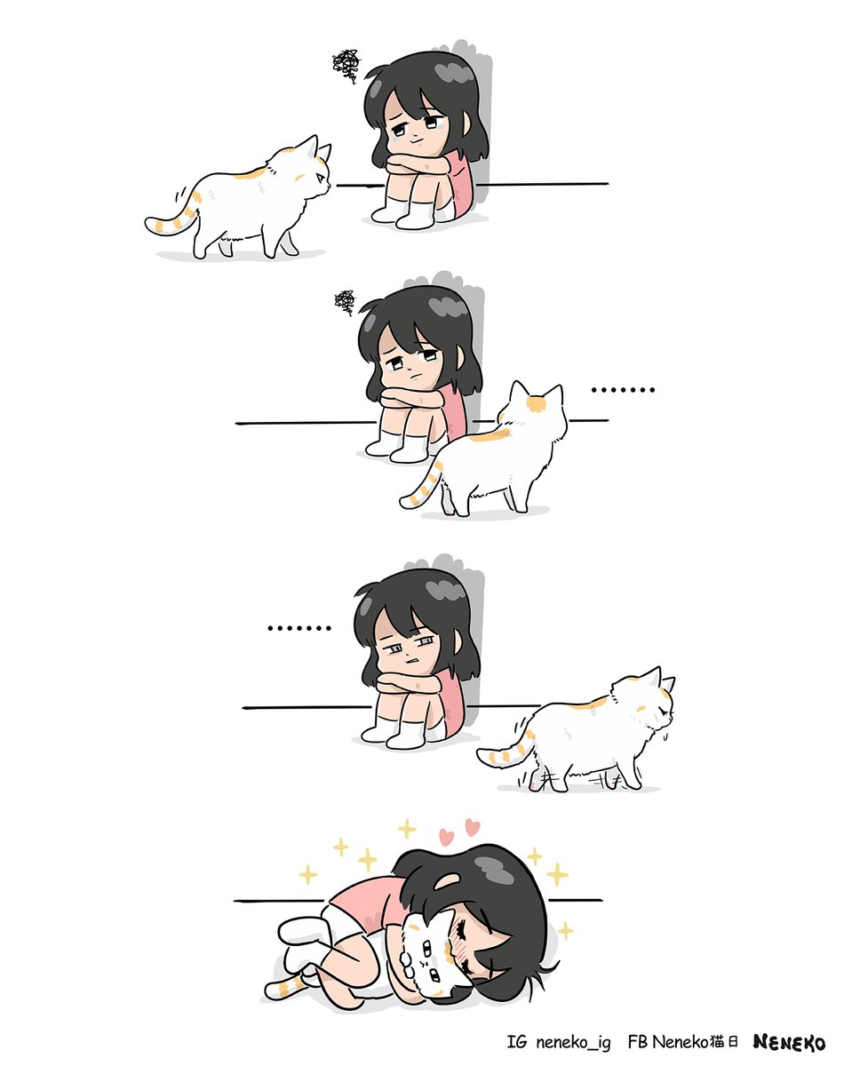 Neneko_Nichi's tweet photo. 對到眼了 還想走！！ https://t.co/PUpsz6bvUL