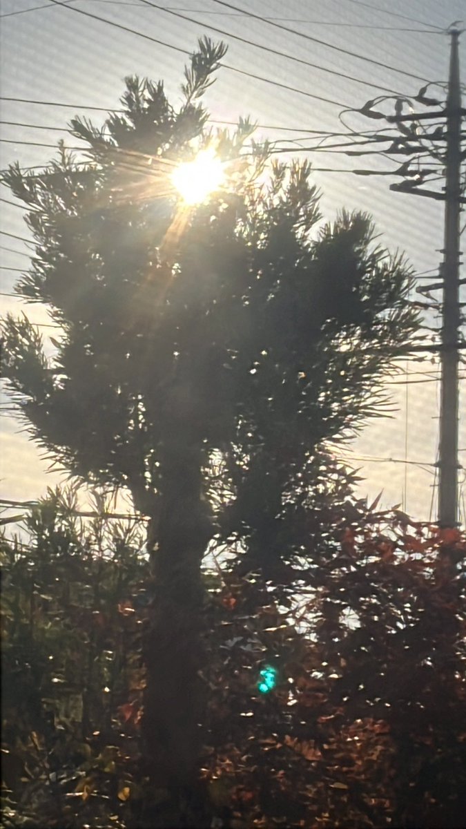 aporro1123's tweet image. 本日
#level 58
#まだ4ねない
オラ頑張る😤💪