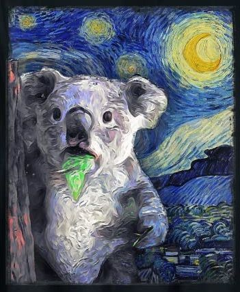Koala Fan tweet media