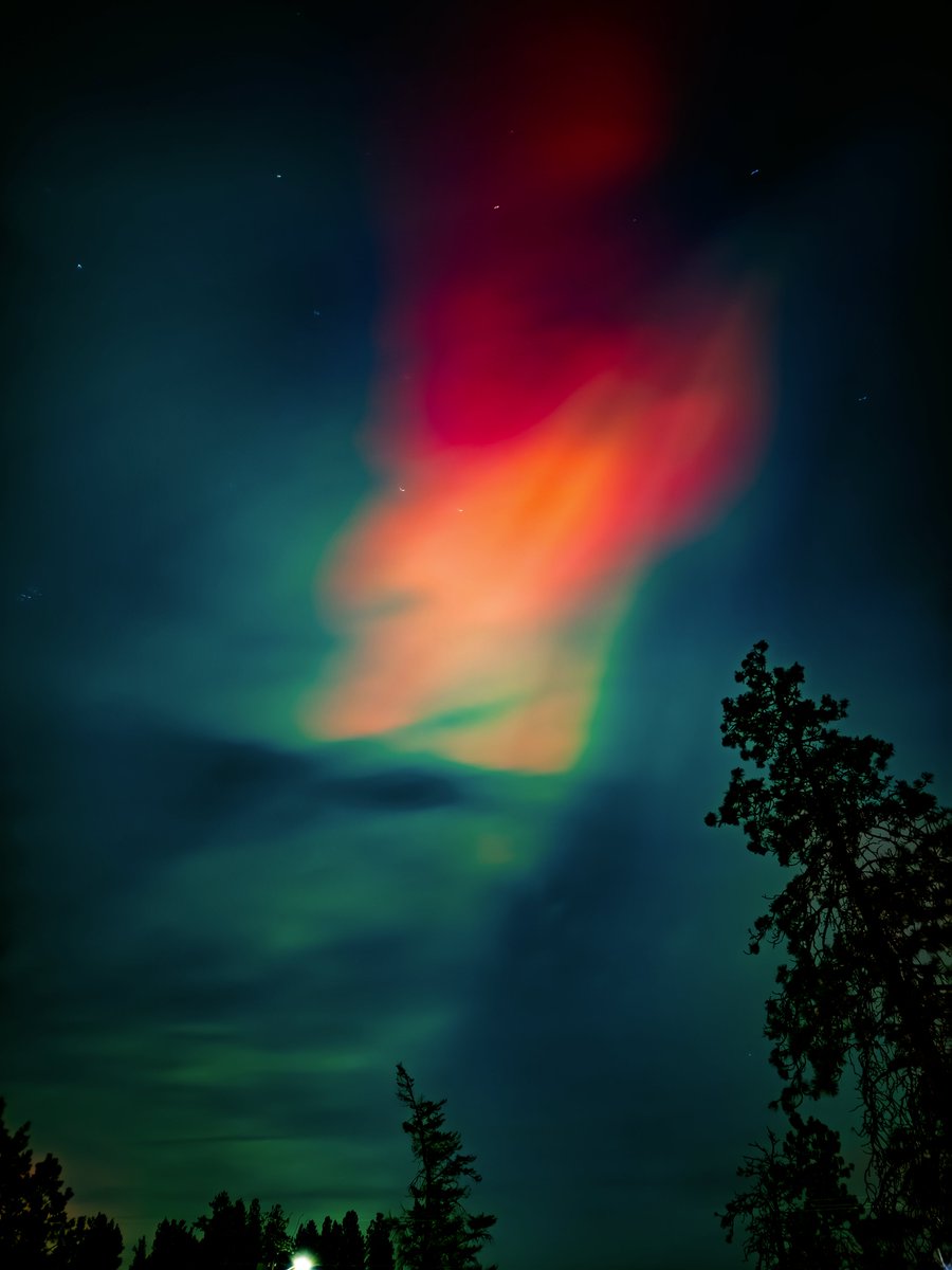 Ghenosis's tweet photo. Aurora Borealis, AKA the Northern Lights — #Pixel7Pro #RAW &amp; #iPhone17ProMax #ProRAW astrophotography. https://t.co/SSqepBpFik