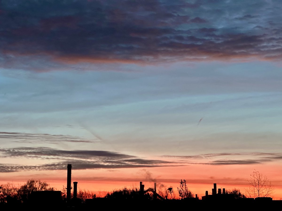 Neues aus der Série Lichtblicke über den Komposthaufen dieser Welt: